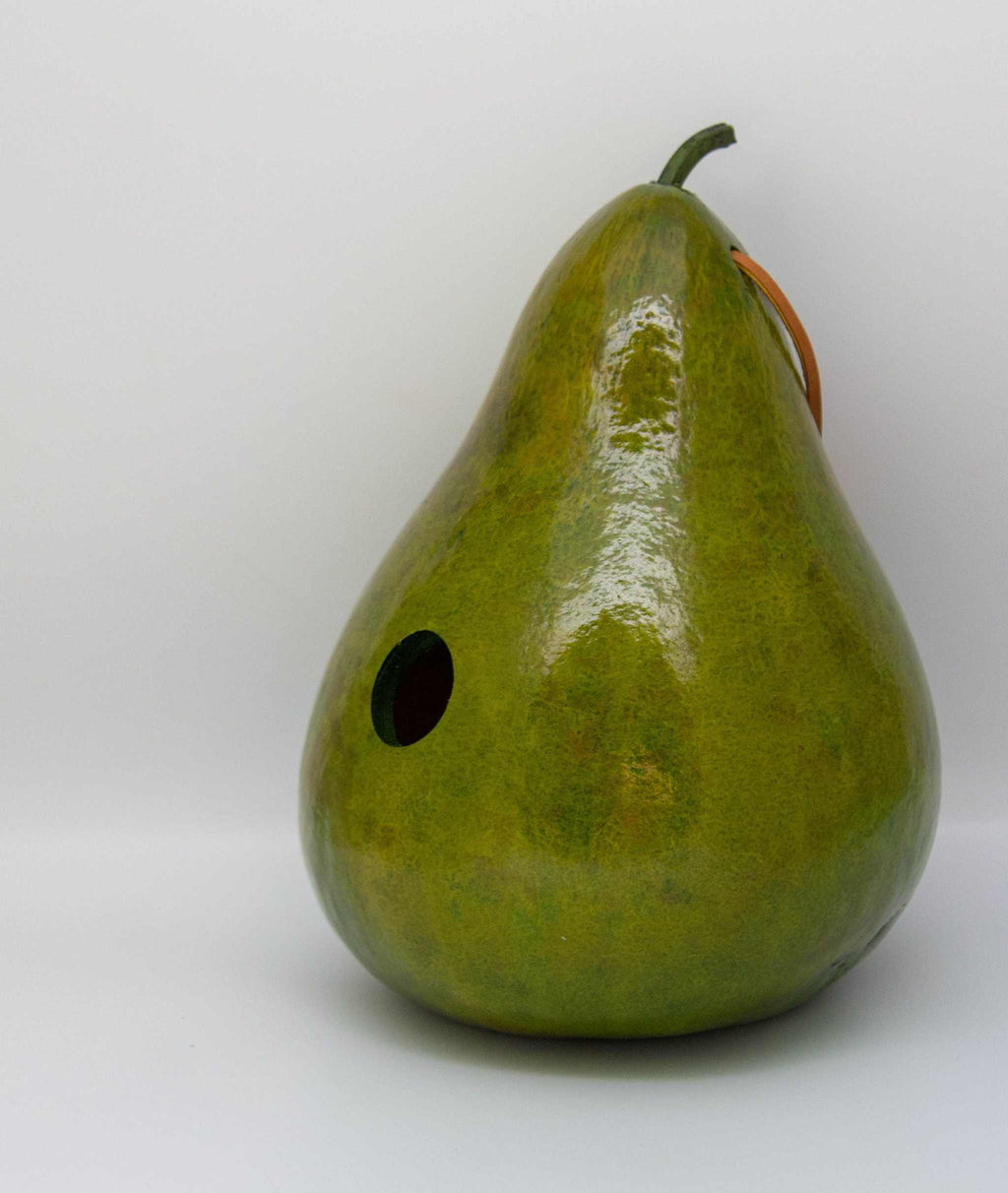Painted Gourd Birdhouse for Sale