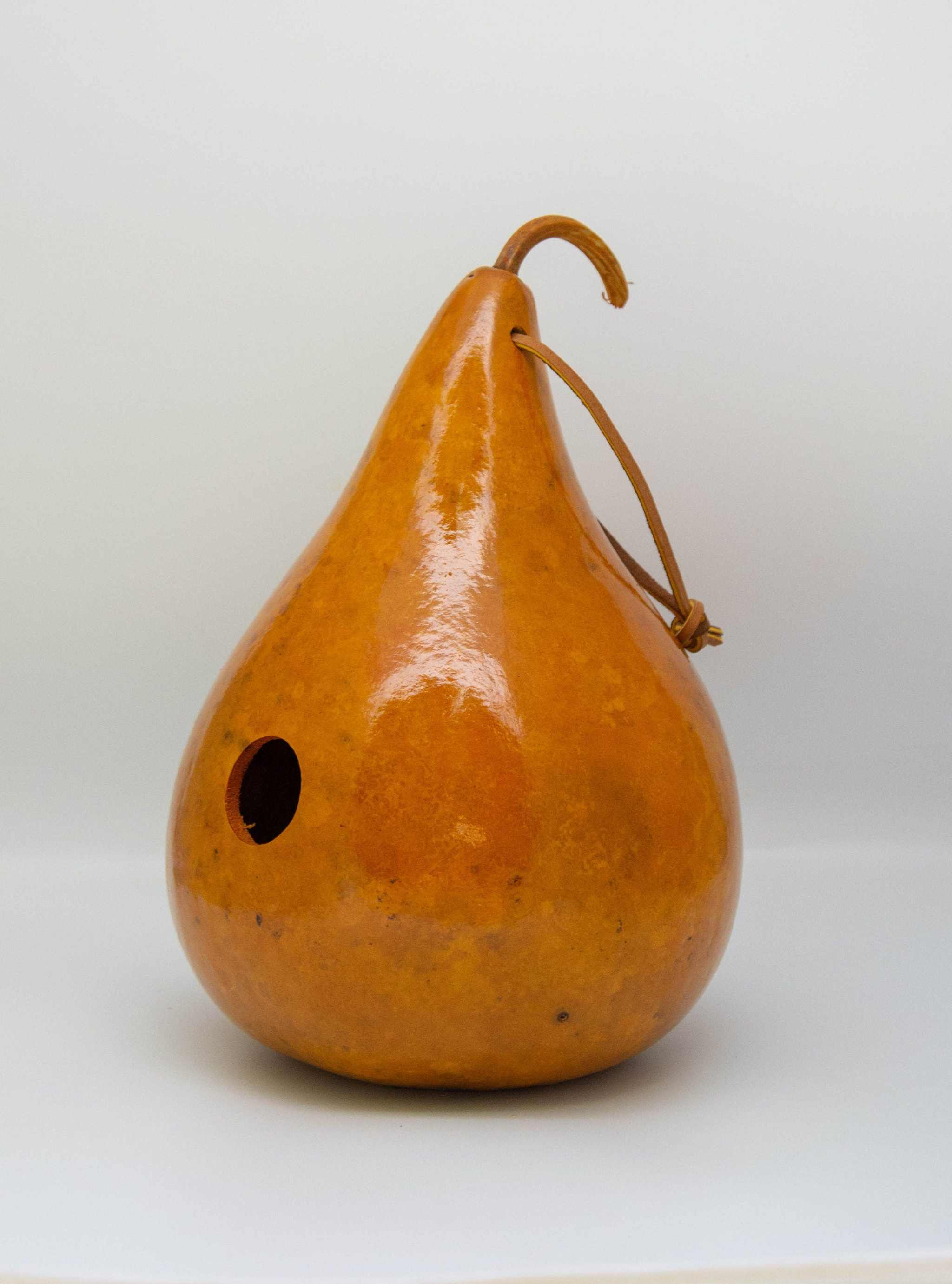 Painted Gourd Birdhouse for Sale