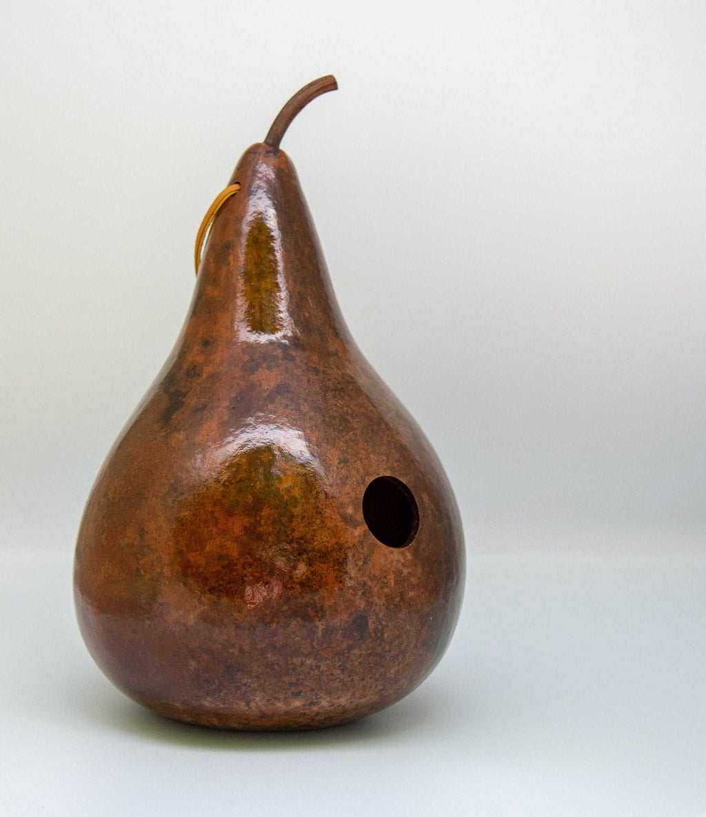 Painted Gourd Birdhouse for Sale