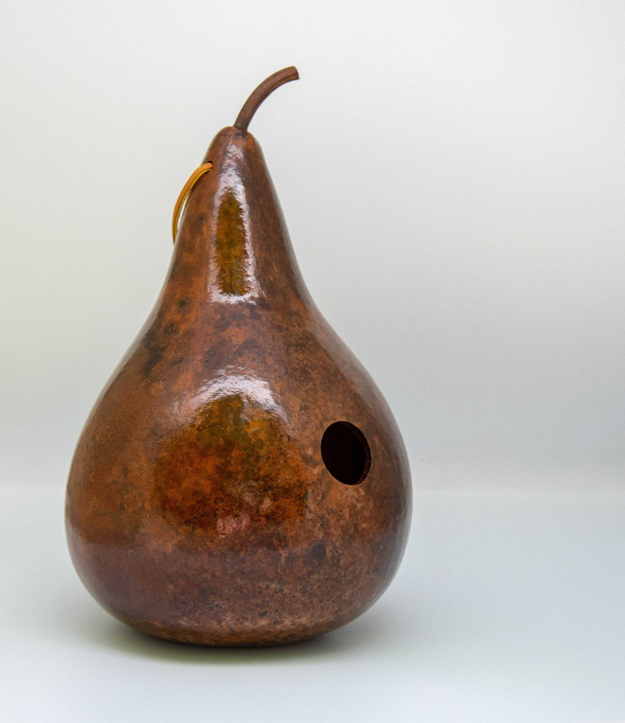 Painted Gourd Birdhouse for Sale