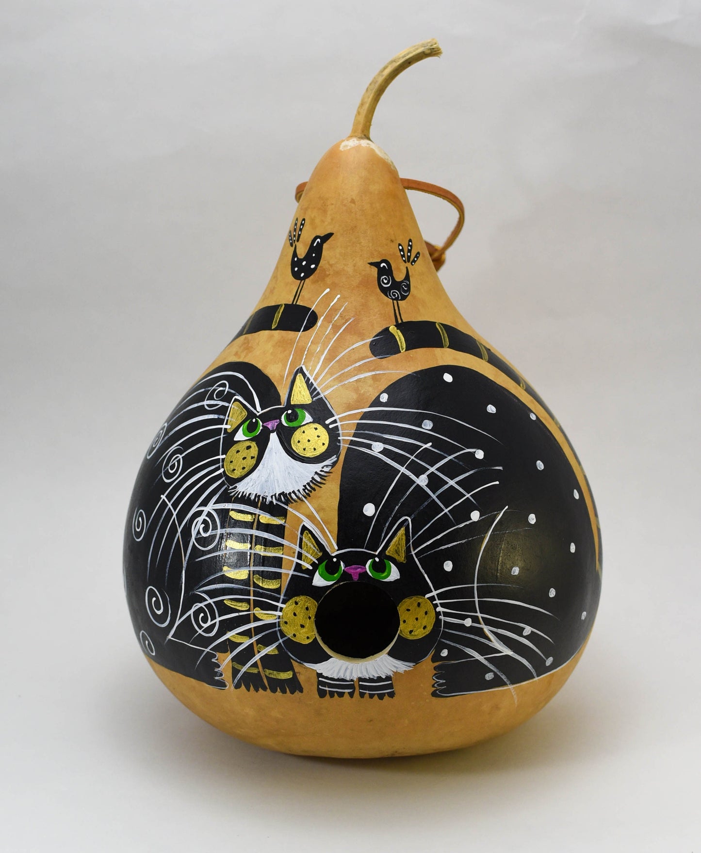 Gourd Birdhouse, Black Cat Home Decor, Outdoor Bird House, Birdwatcher Gift, Handmade Birdhouse, Birding Gifts, Bird Nerd, Bird Watching