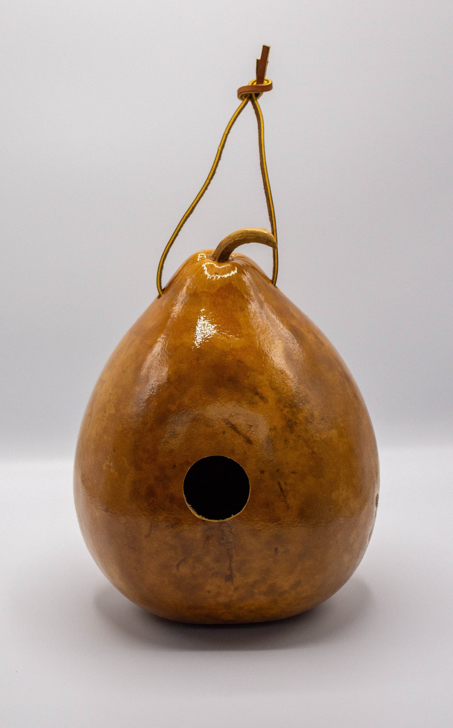Gourd Birdhouse - Natural Birdhouse - Gift for Mom and Dad