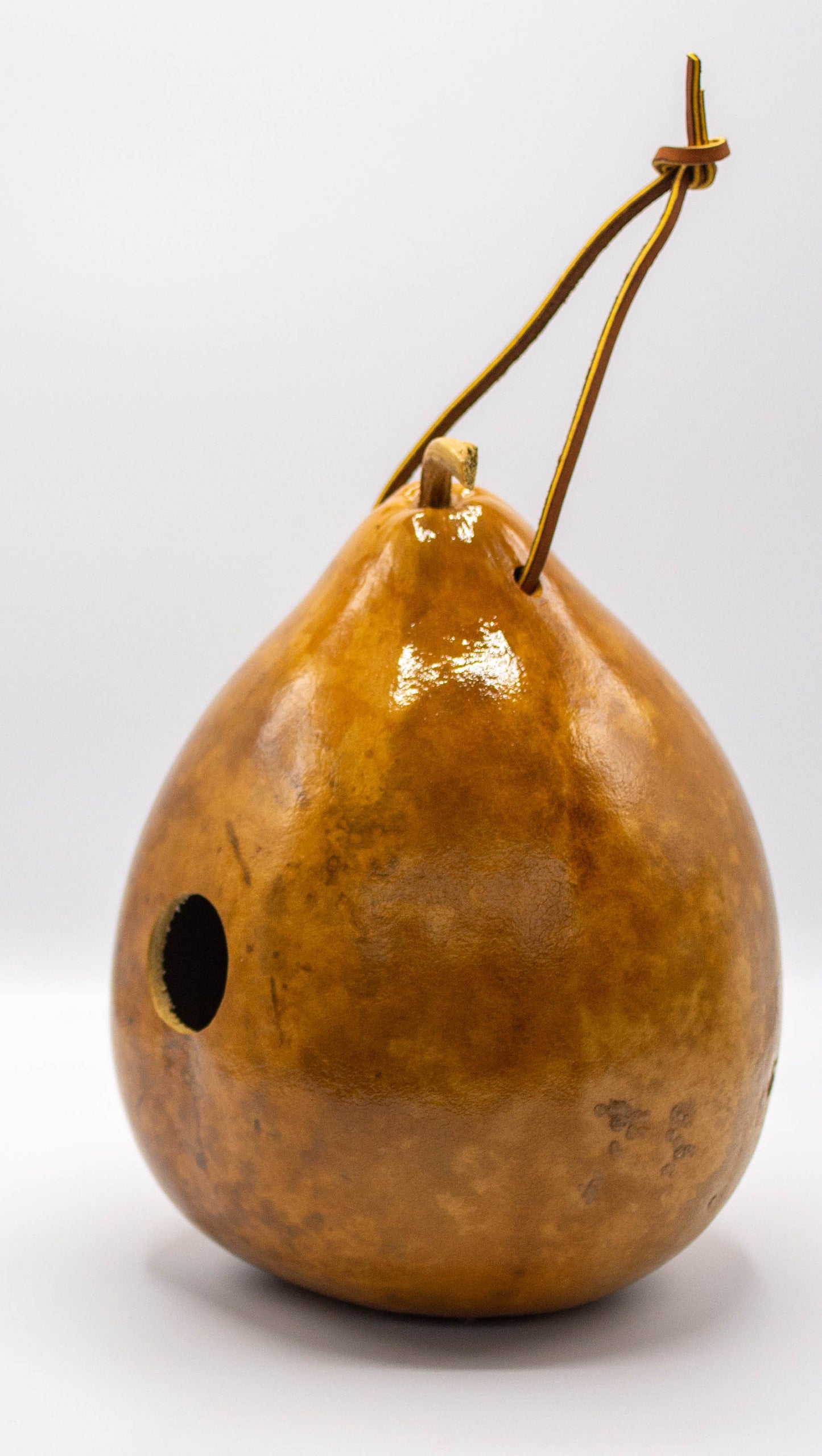 Gourd Birdhouse - Natural Birdhouse - Gift for Mom and Dad