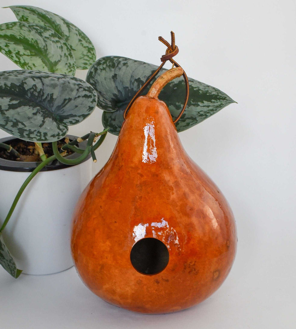 Handmade orange gourd birdhouse with leather strap hanging next to potted plant leaves