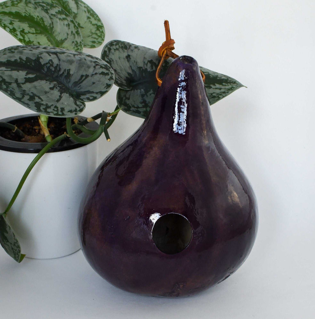 Handmade purple gourd birdhouse with hanging strap next to a potted plant
