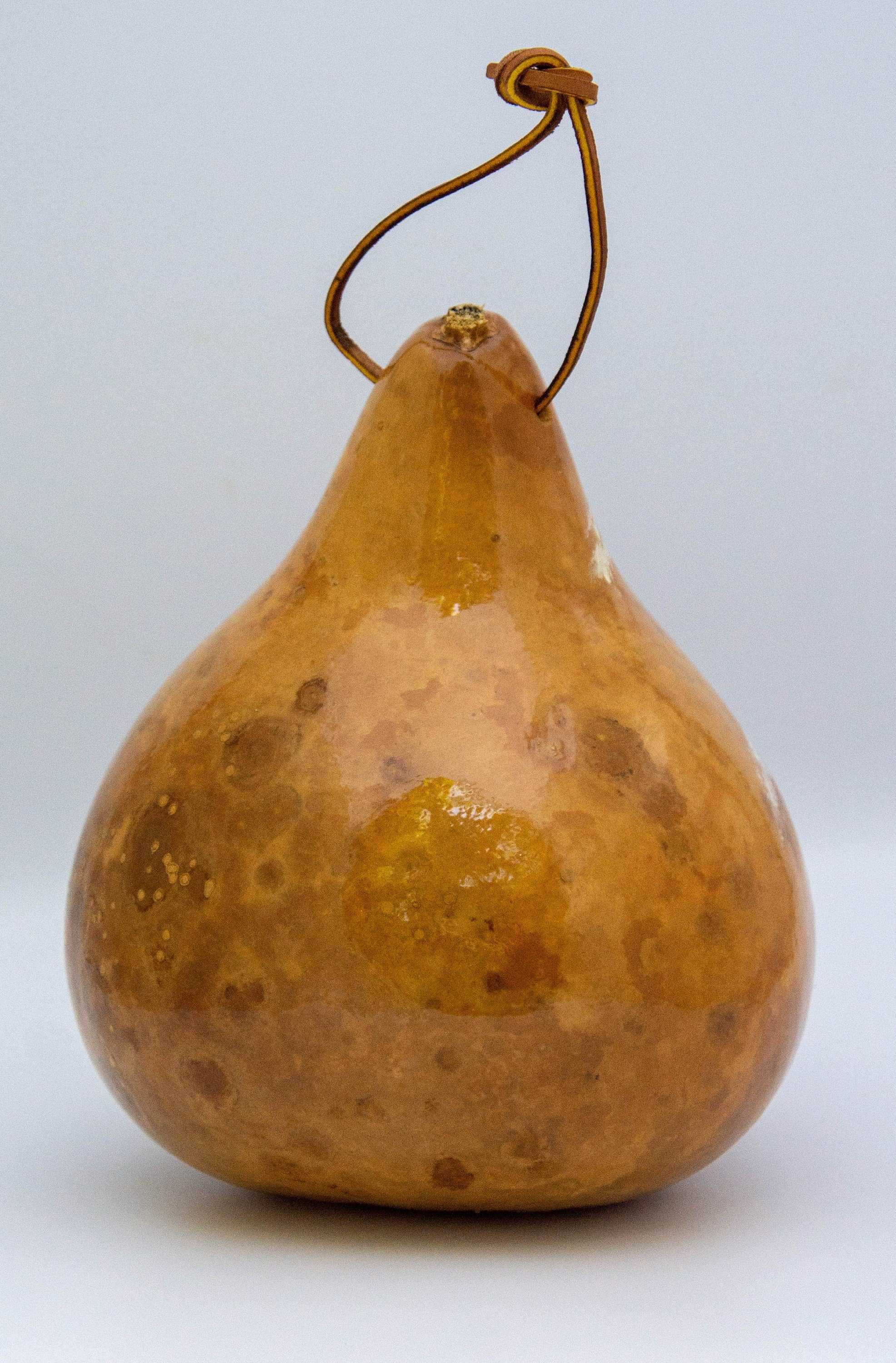 Hand-Painted Monarch Butterfly Gourd Birdhouse – Unique Garden Art & Outdoor Bird Shelter – Made in USA