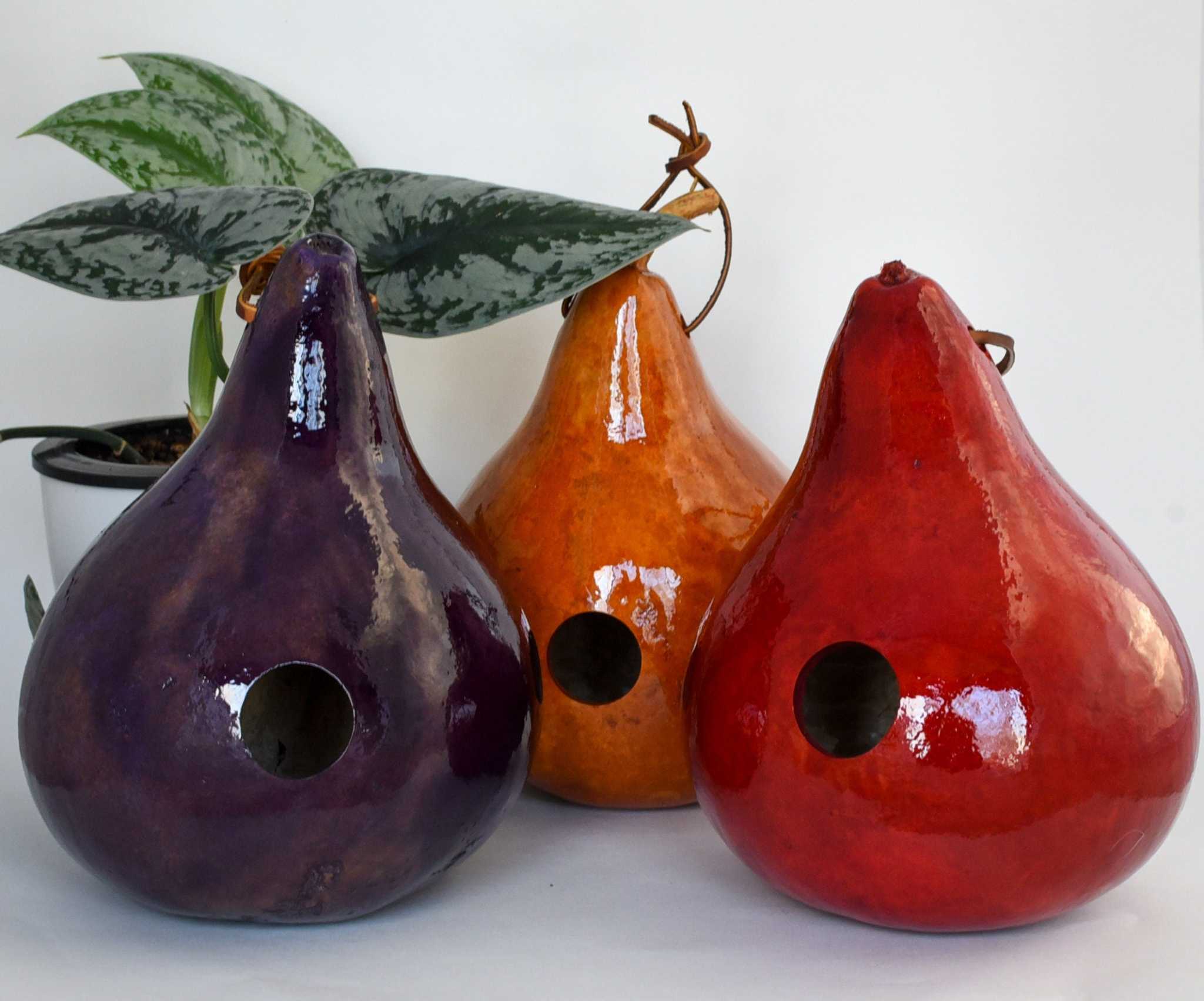 Set of 3 Gourd Birdhouses – Handmade Outdoor Garden Birdhouse Décor