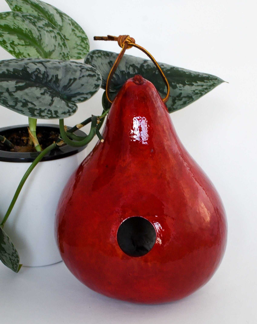 Handmade red gourd birdhouse with leather strap next to potted plant