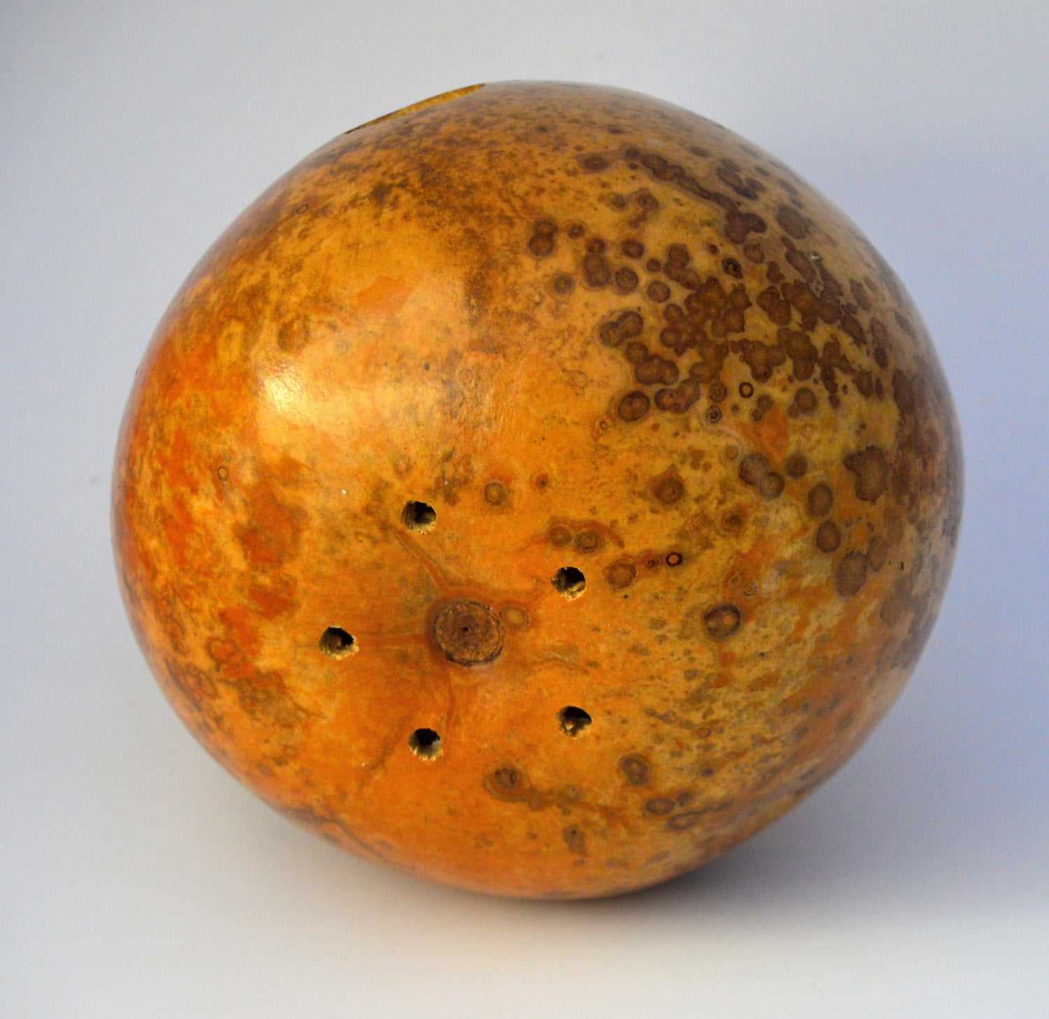 Hand dyed gourd birdhouse bottom