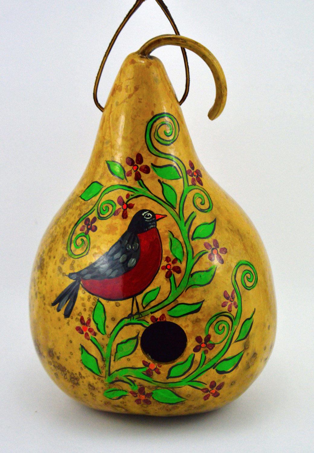 Gourd Birdhouse, Robin Bird, Rustic Home, bird watcher, yard art, bird lover, garden art, garden décor - Gourdaments
