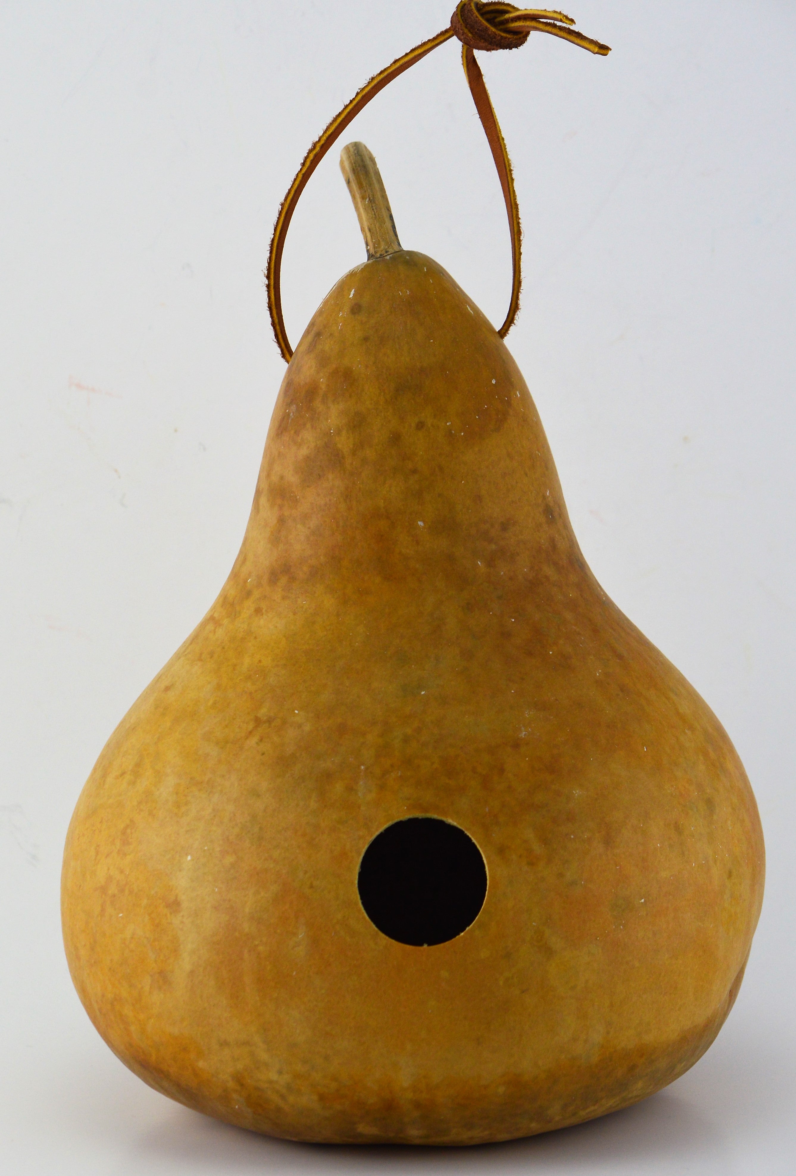 Gourd Birdhouse Unfinished and Ready to Craft DIY Sustainable Craft Project 