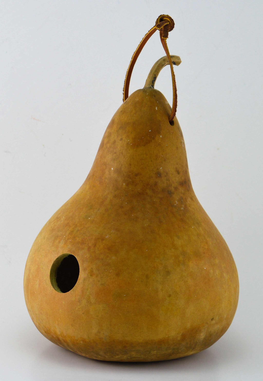 Unfinished Gourd Birdhouse Unfinished and Ready to Craft DIY Sustainable Craft Project 