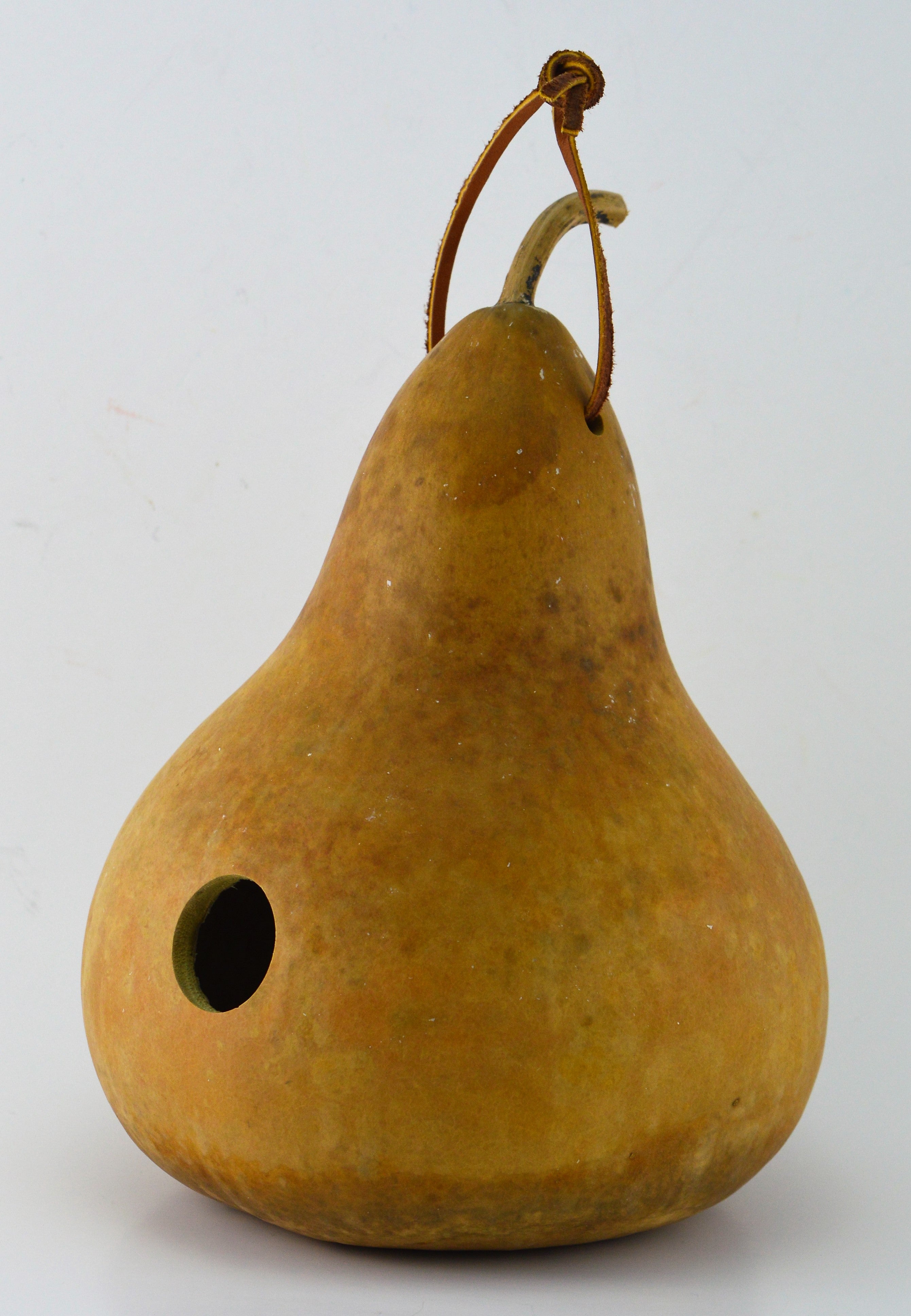 Gourd Birdhouse Unfinished and Ready to Craft DIY Sustainable Craft Project 