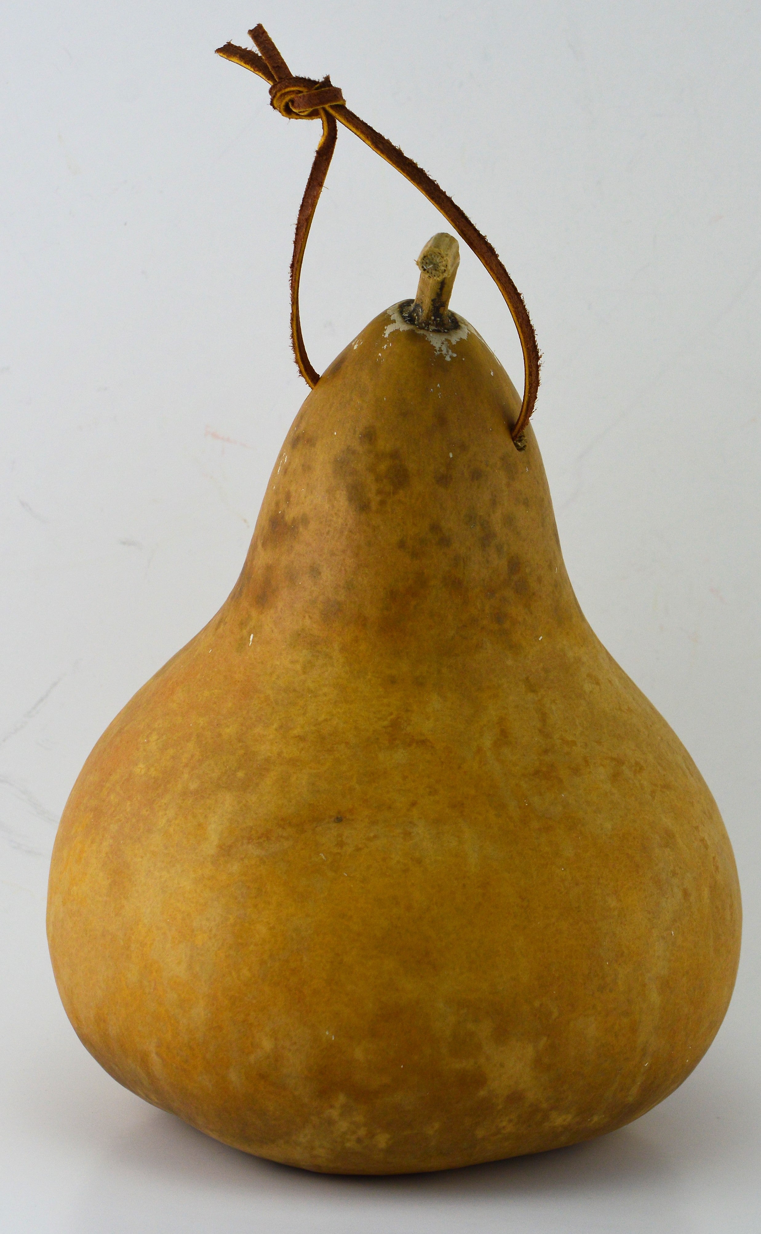 Gourd Birdhouse Unfinished and Ready to Craft DIY Sustainable Craft Project 